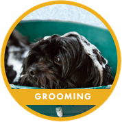  Dog Grooming Groomers Milwaukee WI 